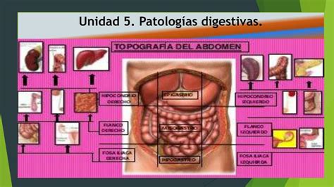 Patologías Digestivas rosa garcia uDocz