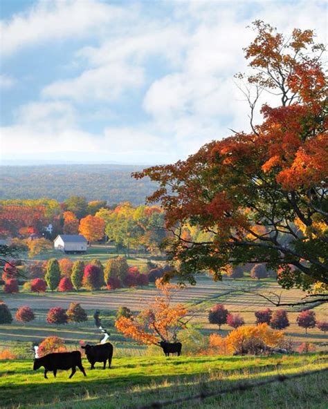 Top 5 Best Vermont Towns To Visit In The Fall On Your Next Getaway