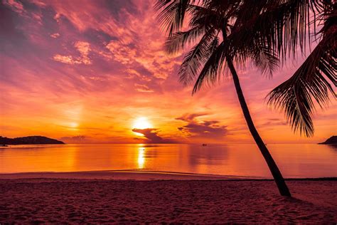 Sunset on the tropical beach 2030159 Stock Photo at Vecteezy