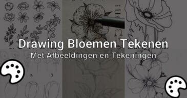 Drawing Bloemen Tekenen Met Afbeeldingen En Tekeningen Tekenen Nu