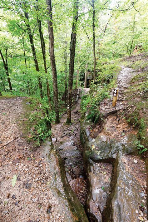 Hoosier National Forest Hiking Indianapolis Monthly