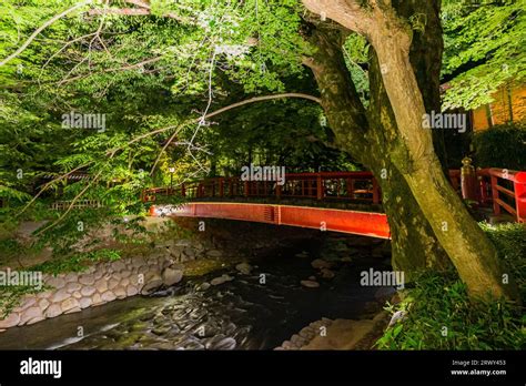 Shuzenji Onsen Shuzenji Hot Spring Lighted Fresh Greenery In Spring And Katsura Bridge View