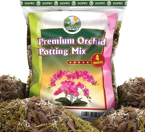 Amazon Duspro Qt Orchid Potting Mix For Repotting With Moss Pine