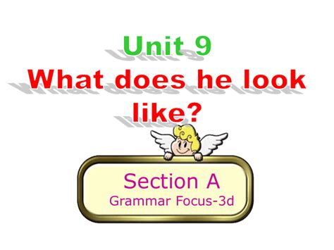 人教新课标七年级英语下册Unit 9 What does he look like Section A Grammar Focus 3d