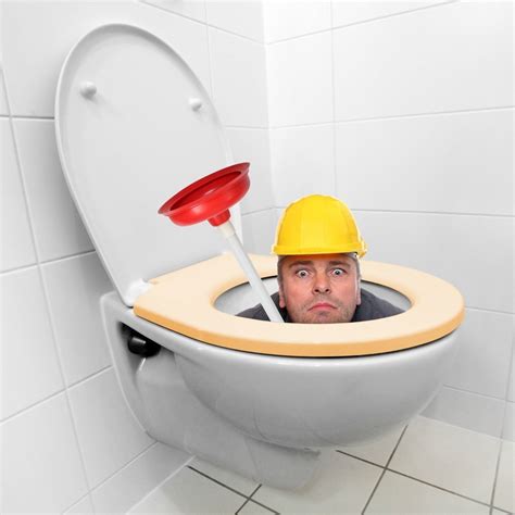 Keeping A Toilet From Overflowing Thriftyfun
