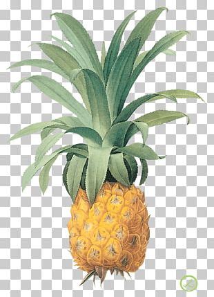 Pineapple Cake Tutti Frutti Sundae Fruit Png Clipart Ananas Carving