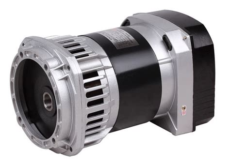 25kw 2 Poles Single Phase Ac Alternator High Efficiency Alternator