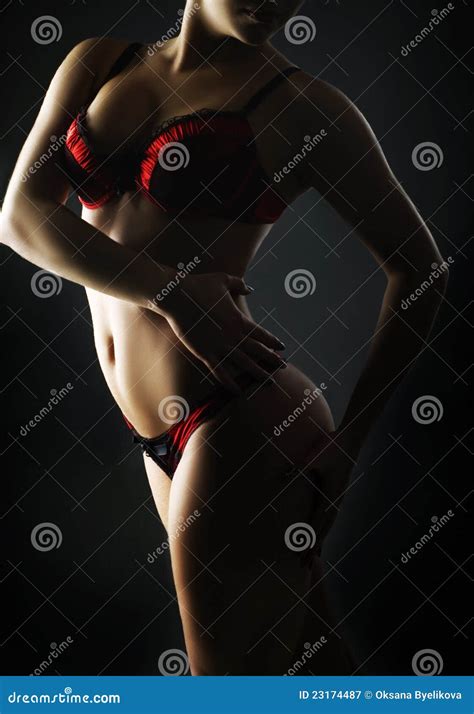 Beautiful Woman In Red Lingerie Stock Image Image Of Caucasian Body