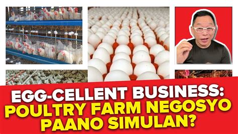 Egg Cellent Business Poultry Farm Negosyo Paano Simulan YouTube