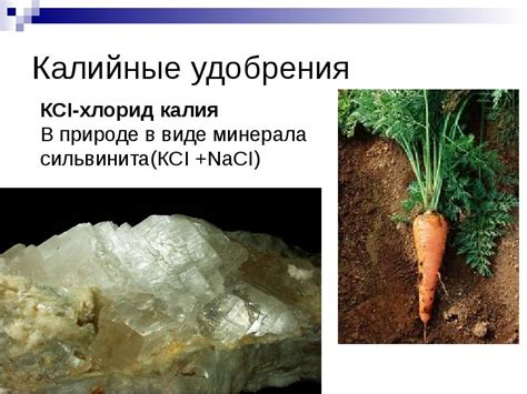 Калийные удобрения