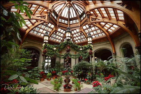 Christmas Decorations At The Biltmore House In Asheville North