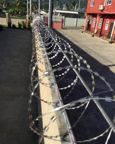 Anti Climb Wall Spikes Razor Wire Provar Distributors Ltd