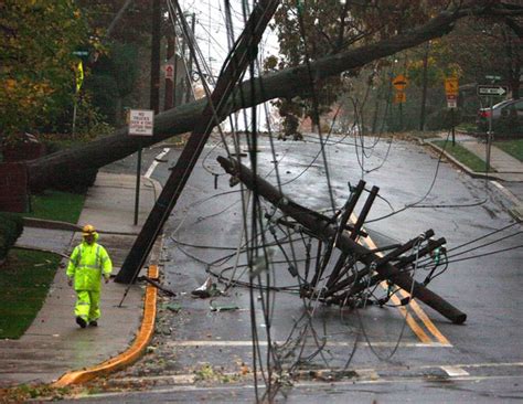 Managing Tree Hazards And Risks Westchester Tree Life