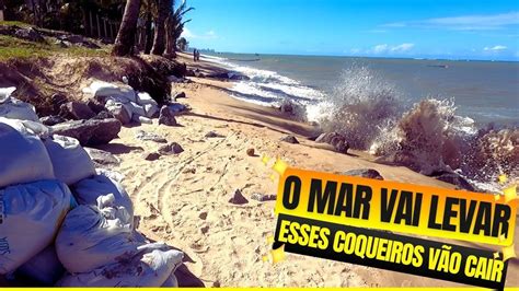 O MAR VAI LEVAR OS COQUEIROS DA PRAIA DE CANDEIAS AVANÇO DO MAR NO