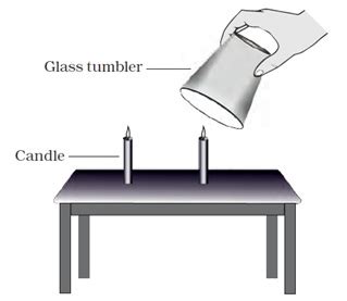 Ncert Solutions For Class Science Chapter Air Around Us Study Path