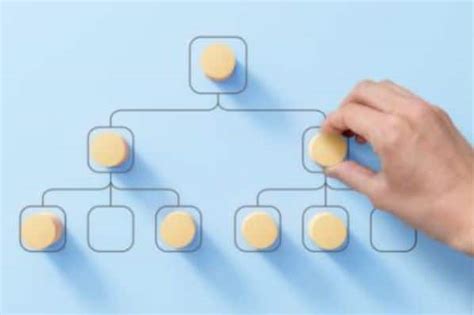 Horizontal Hierarchy A Complete Guide To Collaborative Organization