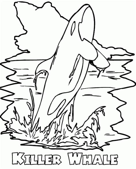 Orca Whale Coloring Pages Coloring Home