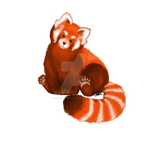 Red Panda Giant Panda Drawing Clip Art Red Panda Png Download 894