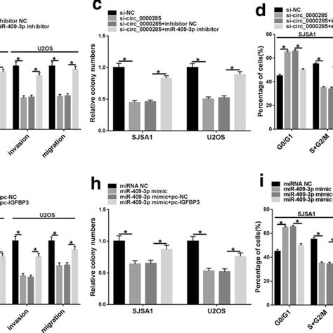 Circ 0000285 Mir 409 3p Igfbp3 Axis Was Associated With Os Progression