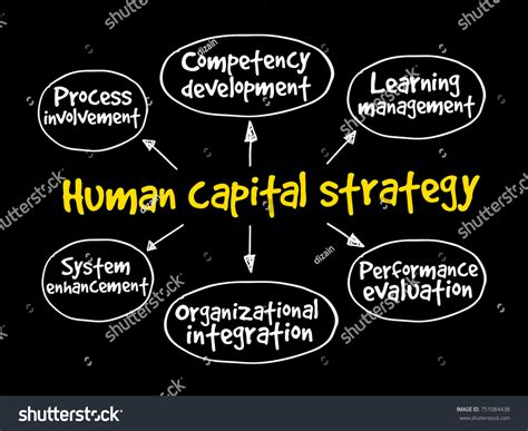 Human Capital Strategy Mind Map Business Stock Illustration 751084438