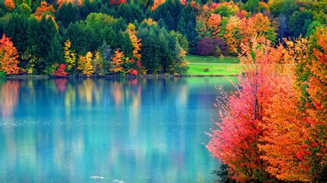 Beautiful Fall Scenery Yellow Red Green Trees Reflection On River HD ...