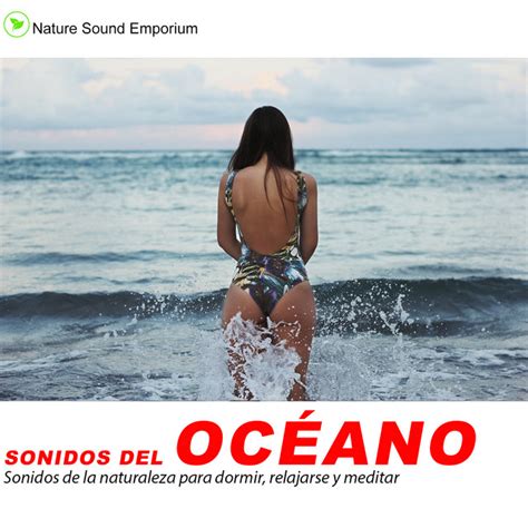 Sonidos Del Oceano Estudiar Meditar Dormir Sonidos Relajantes