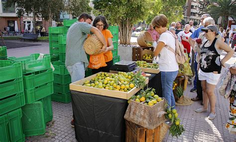 Castellón sumará otro mercado de proximidad con 20 puestos en abril