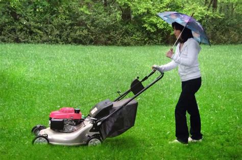 How To Safely And Effectively Mow A Wet Lawn