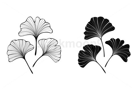 Ginko Ginko Biloba Set Leaves Plant Sketch Drawing Monochrome