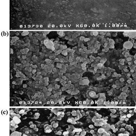 SEM images of treated and untreated rubber surfaces. (a) untreated; (b ...