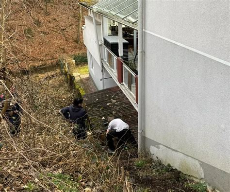 Tierrettung Hund Aus Misslicher Lage Befreit 5 Minuten