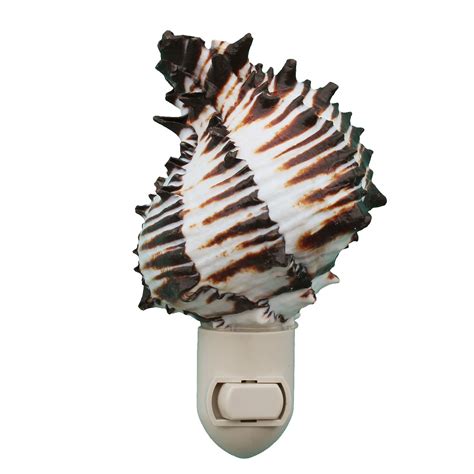 Handmade Sea Shell Night Lights The California Seashell Company