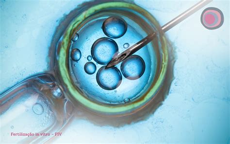 Estimulação ovariana e FIV saiba mais sobre o assunto