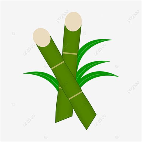 Sugar Cane Clipart Transparent Background Sugar Cane Vector