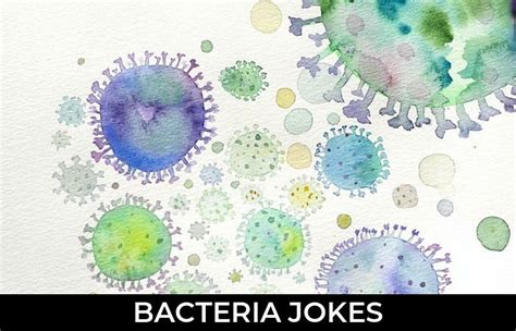 59 Bacteria Jokes And Funny Puns Jokojokes