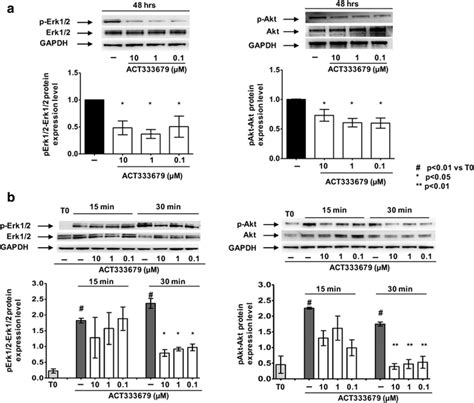 Evaluation Of The Extracellular Signal Regulated Kinases 1 And 2 Download Scientific Diagram