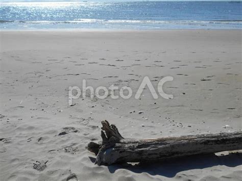 海と砂浜の流木5 No 4192199｜写真素材なら「写真ac」無料（フリー）ダウンロードok