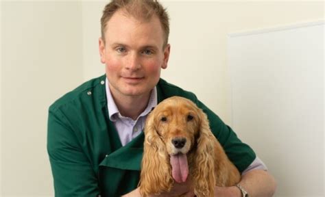 Pioneering Arthritis Treatment For Dogs is Rolled Out And Vets Call it ...