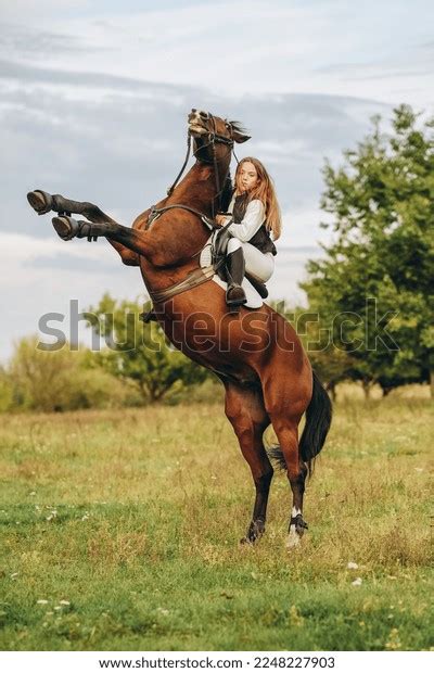 Horse Rearing With Rider Photos And Images Shutterstock