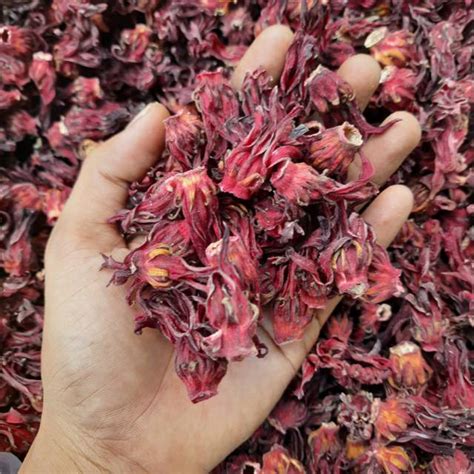 Jual Teh Bunga Rosela Rosella Kering 100 Gram Indonesia Shopee Indonesia