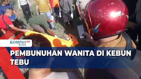 Wanita Di Kebun Tebu Dihabisi Pacar Sendiri Kompas Tv Vidio