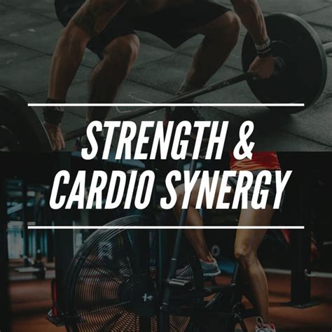 Cardio Vs Weight Lifting Achieving Fitness Balance For Optimal Health