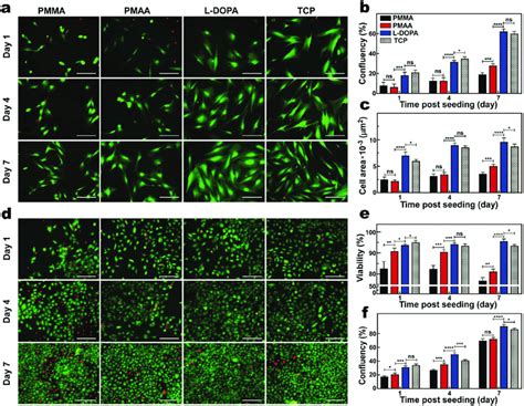 Biocompatibility Characterization Of Functionalized Pmma A