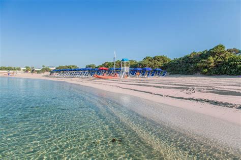 Camping Torre Castiglione Camping 4 Stelle Porto Cesareo Puglia