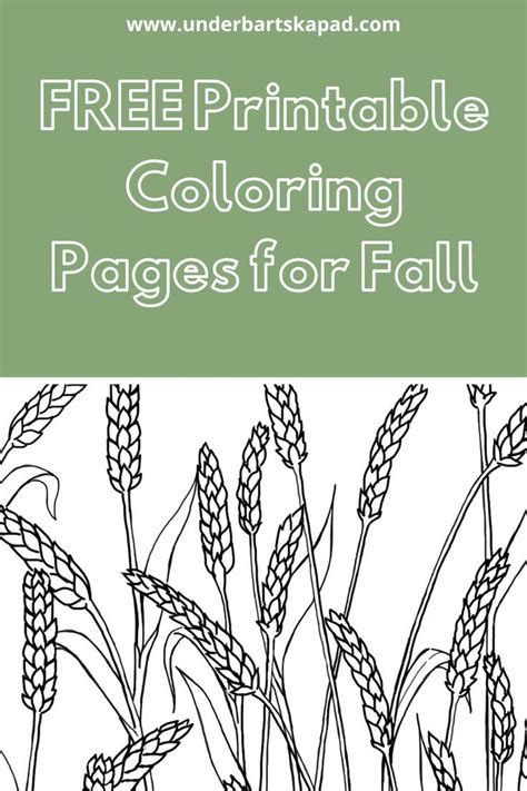 Wheat Field Coloring Pages Free Printable For Fall