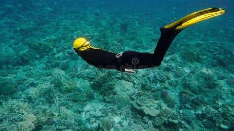 Woman Free Diving On A Beautiful Coral Reef Stock Video Video Of