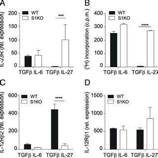 Il Induced S Ko Th Cells Cause Eae Upon Adoptive Transfer A