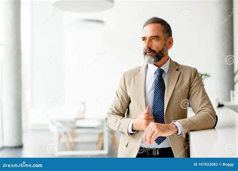 Handsome Mature Businessman In Office Stock Photo Image Of