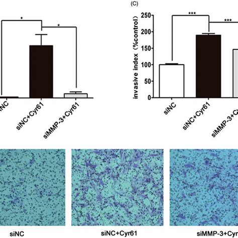 Cyr61 Promotes Mmp 3 Expression In Ra Fls A The Expression Of Mmp 3