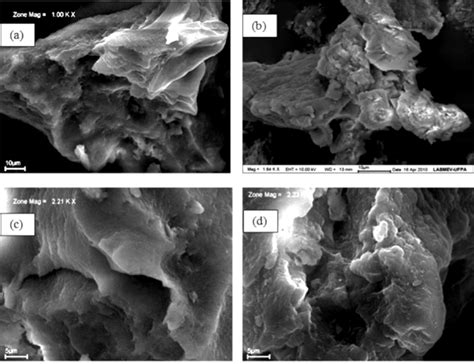 Micrografias Obtidas Em Microscópio Eletrônico De Varredura De